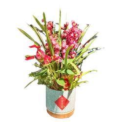 Cymbidium With Bud Orchid Seedlings, New Year's Eve Flower Potted Plant, Huilan, Festive Spring Festival Flower Plant, Indoor Living Room