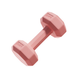 JOY Ms. Home Fitness Small Dumbbells