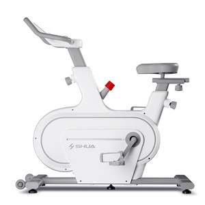 
Shuhua Spinning Bike Home Fitness Equipment Indoor Sports Bike Magnetic Silent Intelligent Exercise Bike B359