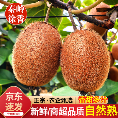 2026年10月23日更新【万能白菜价】的图片 第21张