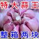 成本价售】2024新干蒜紫皮大蒜头批发新鲜红皮大蒜子整箱便宜包邮