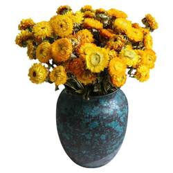 Bouquet of natural daisies dried flowers in Yunnan