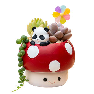 
Funny succulent pot mushroom small animal cartoon cute panda kitten corgi rabbit meat plant small flower pot