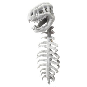 China Dinosaur Park Official Genuine Dinosaur Skeleton Children and Adults Trendy Dress Up Clothing Mask Headgear Plush