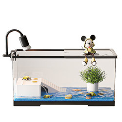 Turtle Breeding Tank Home Desktop Turtle Breeding Tank