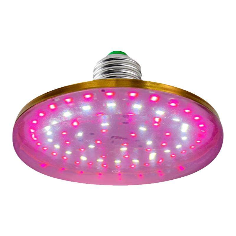 Lot 2 Ampoules LED Croissance 120W Spectre Complet E27 - 180 LEDs Pour Plantes D'Intérieur Et Jardin