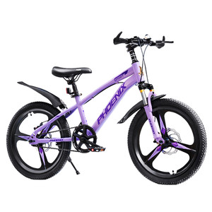 Phoenix Children's Bicycle Girls Aged 6 to 12 Girls Mountain Disc Brake Speed ​​Transmission Primary School Students Bicycle Medium and Large Children's Bicycle