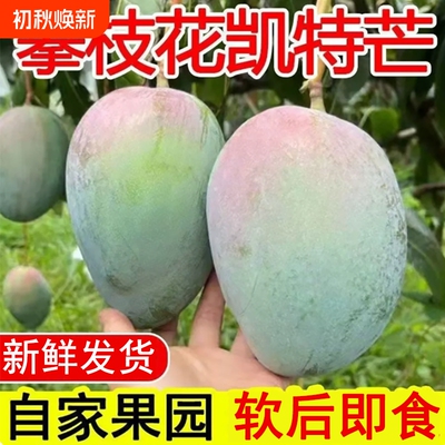 2026年8月30日更新【万能白菜价】的图片 第9张