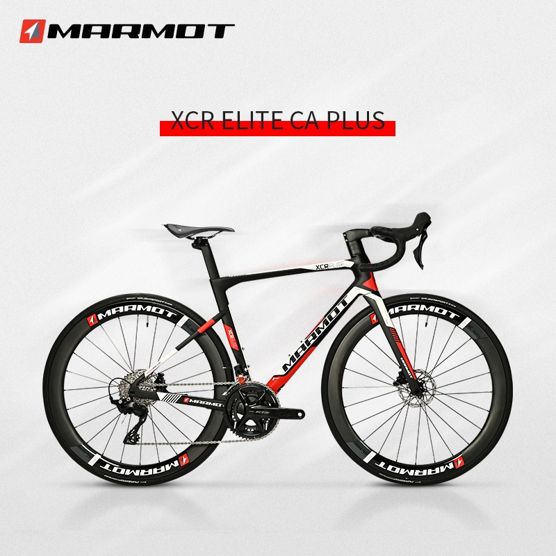  ڰ׺  MARMOT̼ά·ʵ25996Ԫ