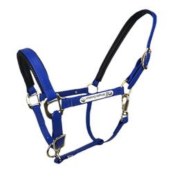 New Pvc Horse Bridle, Harness Accessories, Small Pony Faucet Cage Cover, Reins, Fine Riding Supplies
