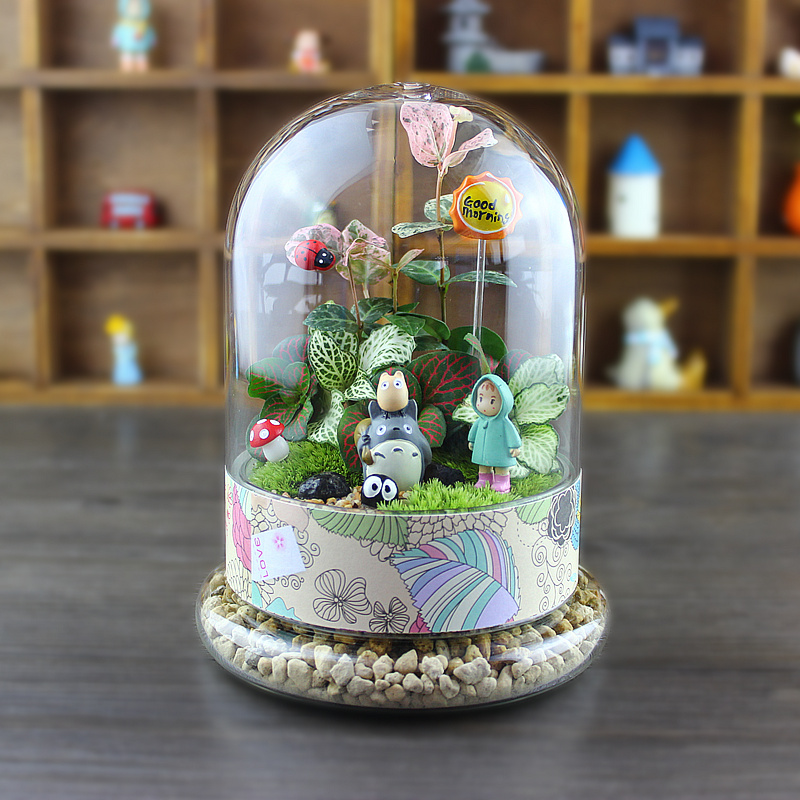 趣味苔藓微景观生态瓶办公桌面创意植物组合盆栽DIY包邮伴手礼物