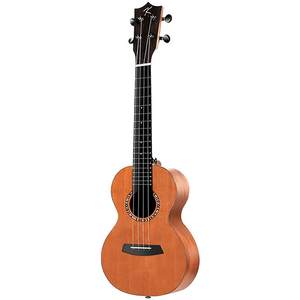 KAKA200 Uchryi beginner 25D Eryurli Children's Primary School Equity 23 -inch Professional Grade
