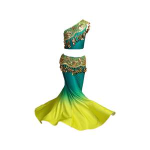 Children's Dai Dance Performance Clothing Performance Clothing Fish Tail Practice Skirt Female Adult Act Test Peacock Dance
