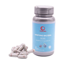 Vevelang nitrification bacteria capsule fish tank water purification agent