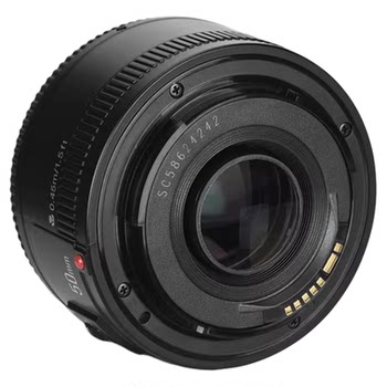 Yongnuo 50mm F1.8 SLR prime lens portrait
