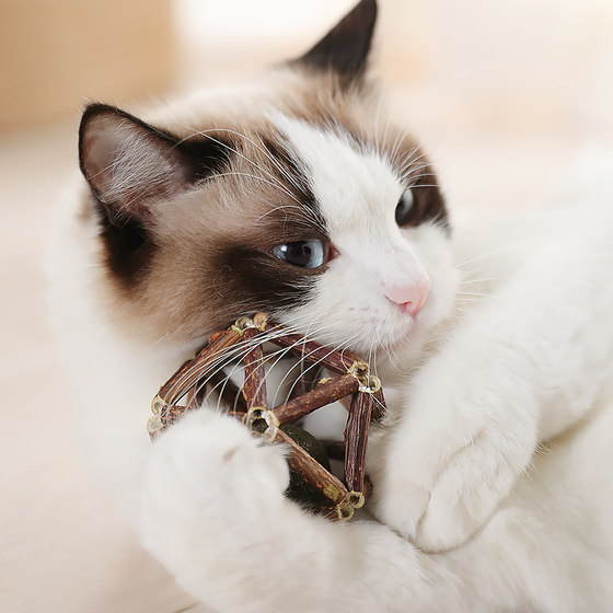 天蓼猫零食猫薄荷球磨牙洁齿猫咪玩具耐咬解闷玲珑球自嗨猫咪用品