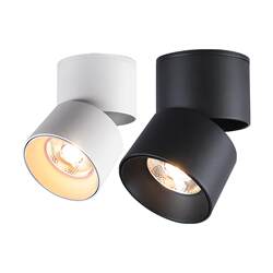 Exposed foldable background wall entrance downlight spotlight