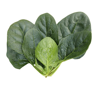 
Spinach seeds buried in the snow, seeds, cold-resistant red roots, autumn and winter, large leafy vegetable seeds, balcony potted spinach