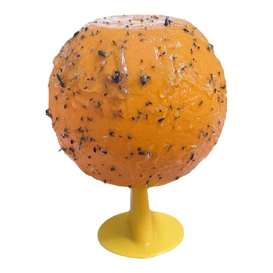 100 Pièges à Mouches Des Fruits  A-33 , Piège à Moucherons Fongiques Mouche Jaune Des Fruits Mouche Des Plantes Collantes Piege A Insectes 97470564