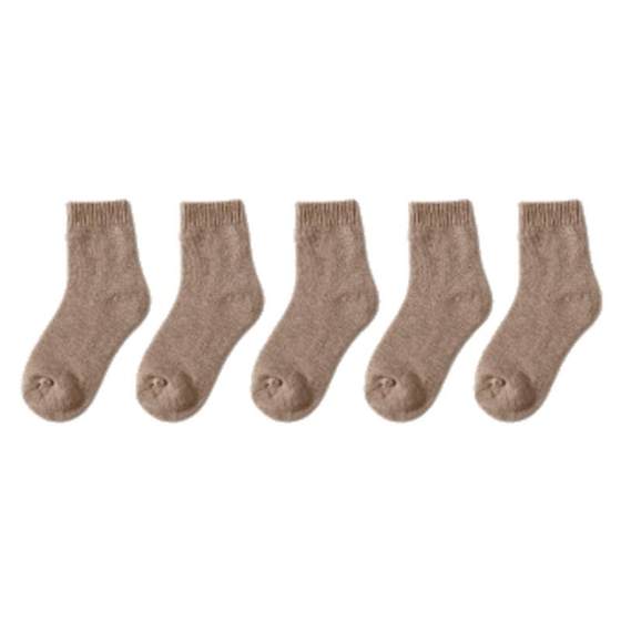 Women's autumn and winter thickened warm lace 家 女 女 女 女 女 女 thick socks spring and autumn velvet
