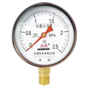 
China Hongqi earthquake-resistant pressure gauge shock-resistant air pressure oil pressure water pressure gauge YTN100 complete all kinds of pressures