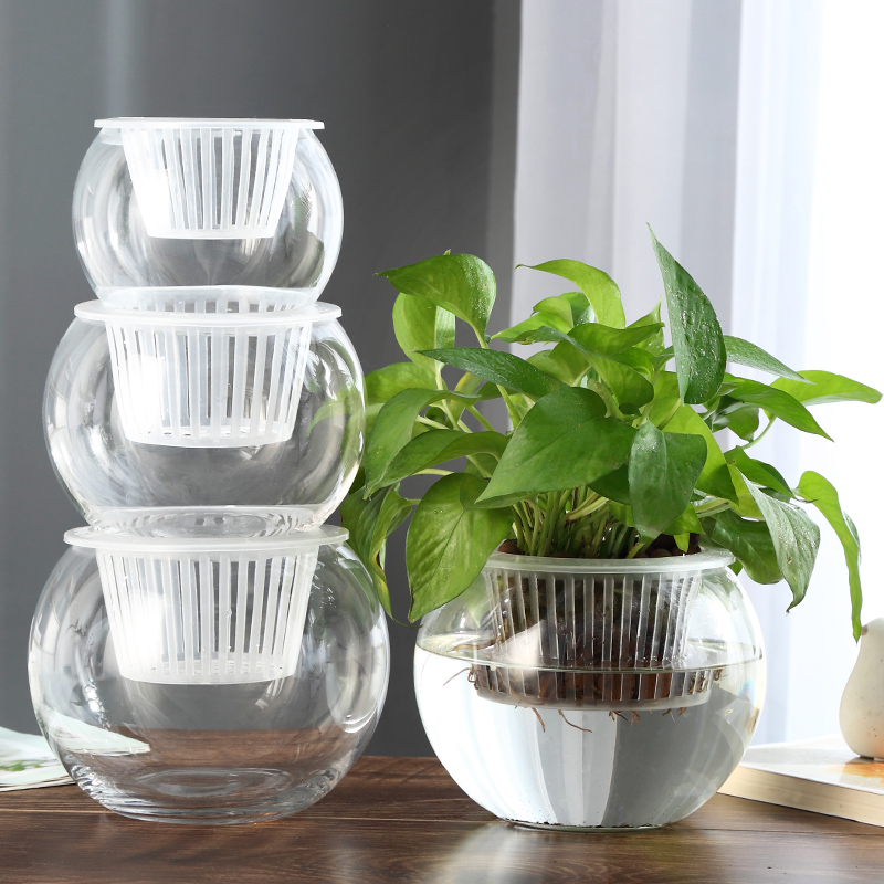 创意水培瓶植物透明玻璃花瓶容器绿萝花盆鱼花共养缸水养摆件器皿
