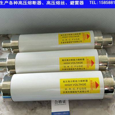 楚熔XRNT-10-12KV/100A125A-50KA高压高分段能力限流熔断器保险管