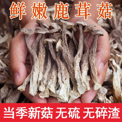 2025年11月13日更新【万能白菜价】的图片 第68张