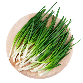 Four-season chive seeds garden balcony potted plant