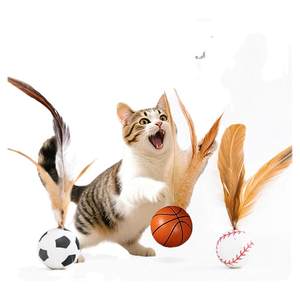 
Cat toy elastic ball cat feather teasing cat stick cat dog self-exciting interactive ball jump ball pet