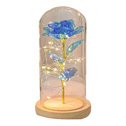 Preserved flower rose bouquet night light birthday gift for women