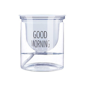 Nordic plastic hydroponic transparent lazy automatic water absorption early pots, green spoil, northern European minimalist hanging orchid green plants
