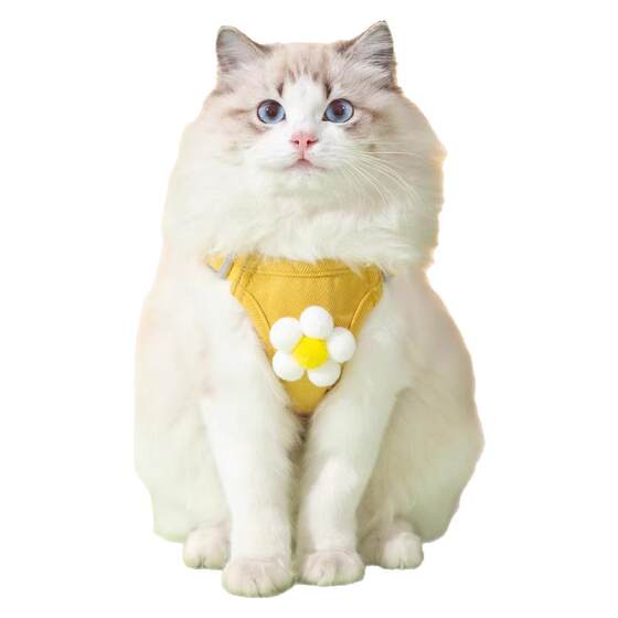 Cat traction rope for anti loosening and outdoor use, vest style cat walking rope, adjustable chest strap, pet walking rope
