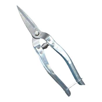 Stainless steel garden pruning shears for orange fruit trees