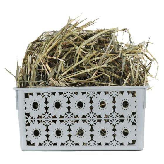 
High-quality domestic Oat Grass 1*0.5kg bag pet rabbit grass forage grass replacement Timothy weed