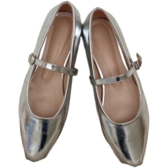 シルバー ポインテッドトゥ フラットシューズ OHGA シルバー ポイン