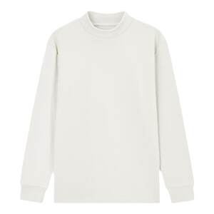 
hansca double-sided brushed 300g half-high collar long-sleeved T-shirt men's spring and autumn high-end warm inner layering shirt