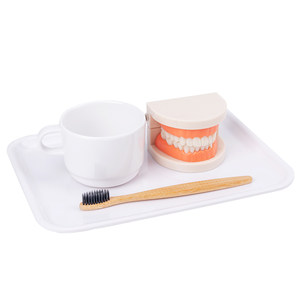 
Montessori daily life teaching aids Kindergarten denture model Know the work of teeth brushing exercises
