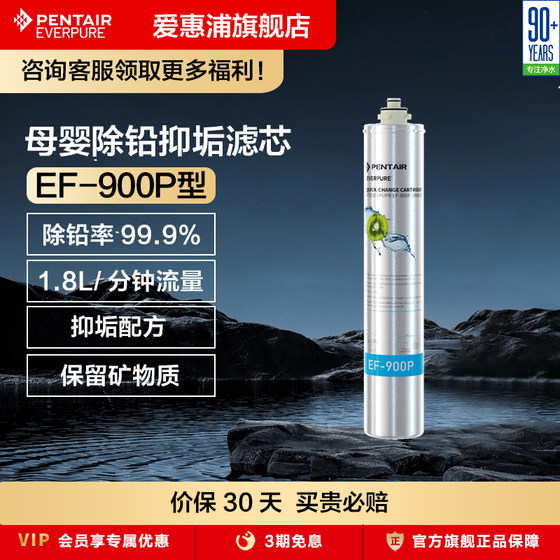 爱惠浦everpure净水器滤芯净水机耗材自来水过滤器配件EF-900P