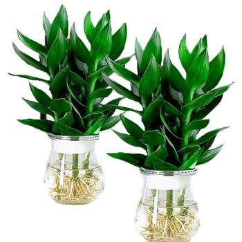 Guanyin Bamboo Desk Coffee Time bedroom living room is not available