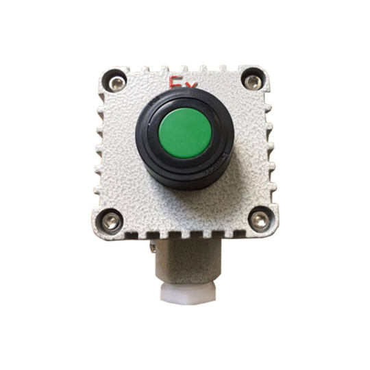Explosion-Proof Button Control Box with Light Button Switch