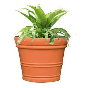 
Alice flowerpot Alice plastic thickened fruit tree monstera imitation ceramic courtyard extra large diameter resin pot