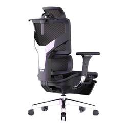 Ergomax TRAMAX Chuangsi Intelligent RX3 Ergonomic Chair Computer Chair Home Office E-sports Gaming Chair