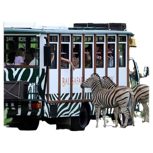
Bali Safari Day Tour Elephant Riding Family Tour Bali Safari Komodo Lion