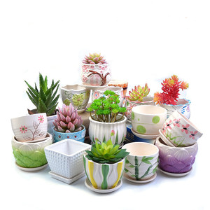 Poor flower pot ceramic band tray special offer clear warehouse large large -caliber large -diameter succulent plant green flowers flowering wealth tree basin