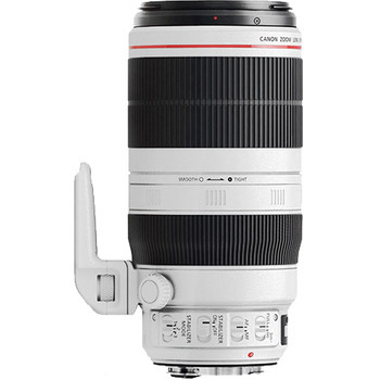 Rental Canon 100-400mmii telephoto lens