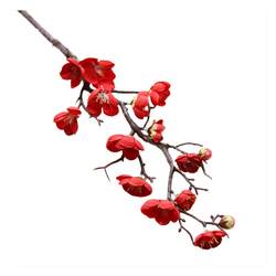 Simulated ornaments, sea of ​​flowers, plum blossoms and wintersweet decoration for all seasons