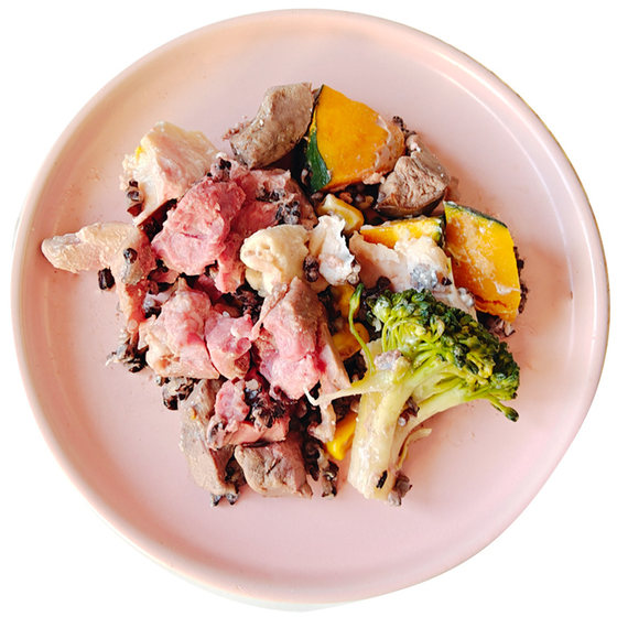 Tao Ma's homemade dog food rice damp food teddy Golden Mao Corgi dog snack bibimbap venison salmon fresh food canned food
