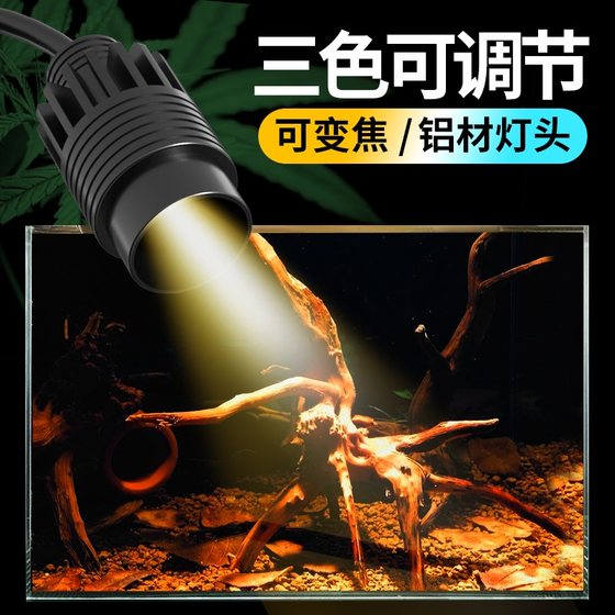 小缸鱼缸灯南美缸射灯雷龙灯鱼缸用小射灯原生溪流缸灯led水草灯