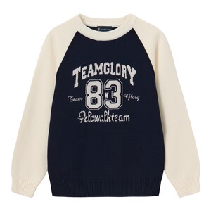 
POLOWALK children's clothing boys' sweaters 2025 autumn and winter new round neck sweaters contrasting jacquard striped sweaters